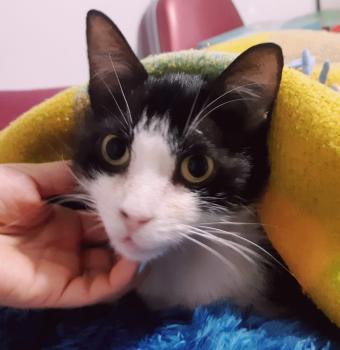 Conny Bild von Conny