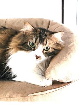 Aslaug Bild von Aslaug