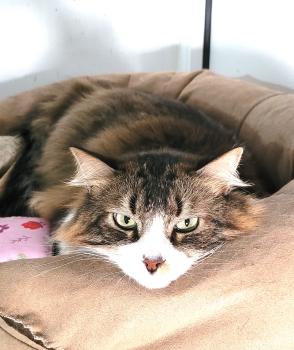 Aslaug Bild von Aslaug