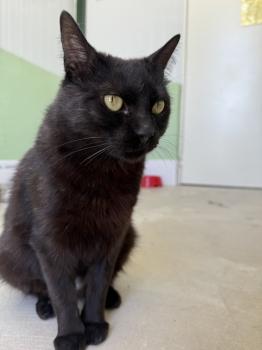 Nahla Bild von Nahla