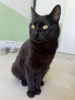 Nahla Bild von Nahla