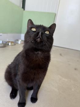 Nahla Bild von Nahla