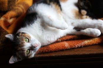 Nina Bild von Nina