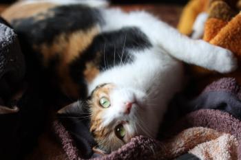 Nina Bild von Nina