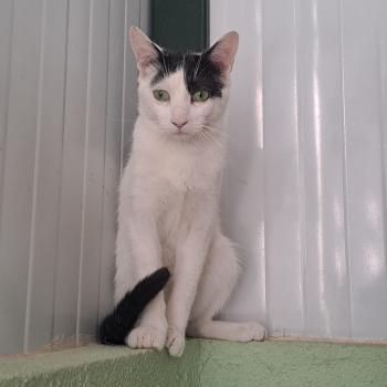 Coby Bild von Coby