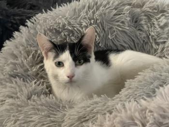 Coby Bild von Coby