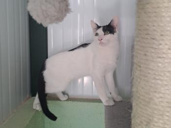 Coby Bild von Coby