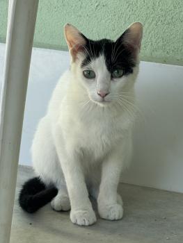 Coby Bild von Coby