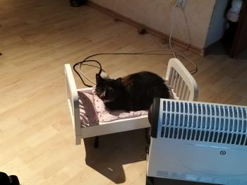 Geraldina Bild von Geraldina