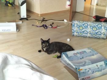 Geraldina Bild von Geraldina