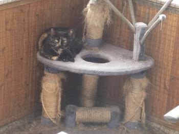 Geraldina Bild von Geraldina