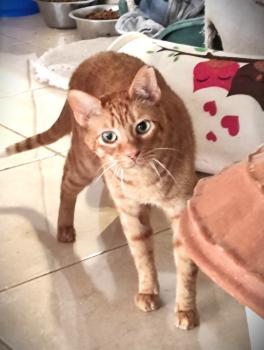 Momo Bild von Momo