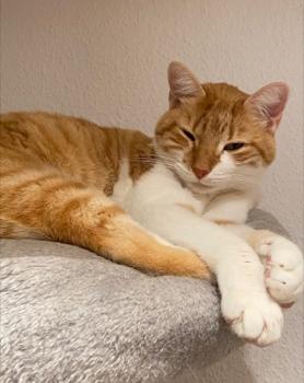 Sam Bild von Sam