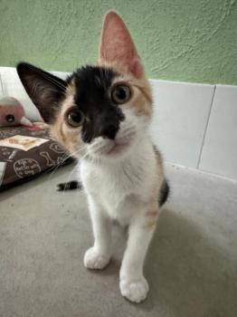 Penelope Bild von Penelope
