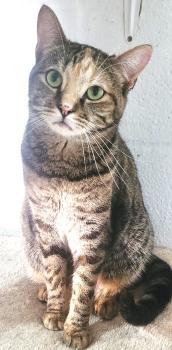 Juliette Bild von Juliette