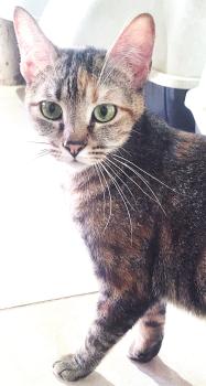 Juliette Bild von Juliette