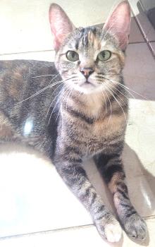 Juliette Bild von Juliette