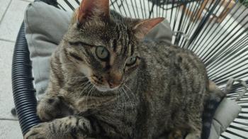 Cyntia Bild von Cyntia