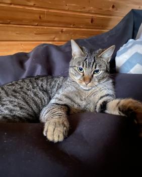 Milu Bild von Milu
