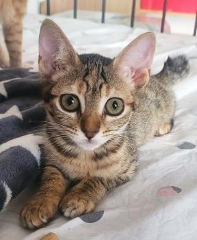 Minnie Bild von Minnie
