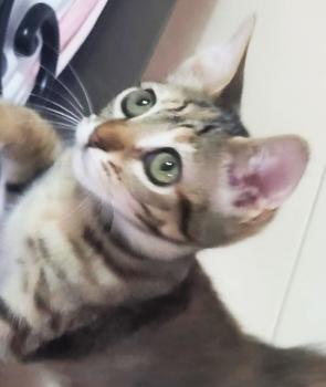 Minnie Bild von Minnie