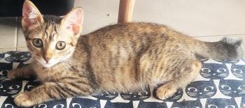 Minnie Bild von Minnie