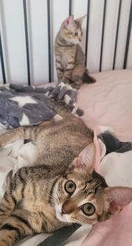 Minnie Bild von Minnie
