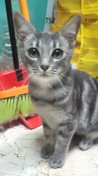 Chloe Bild von Chloe