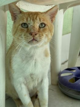 Tommy Bild von Tommy