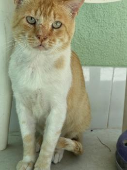 Tommy Bild von Tommy