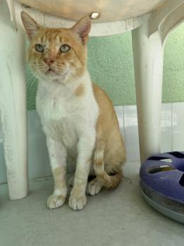 Tommy Bild von Tommy