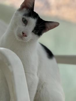 Coby Bild von Coby