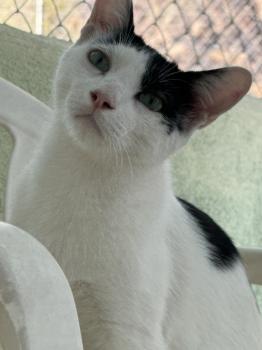 Coby Bild von Coby