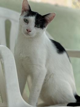Coby Bild von Coby