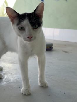Coby Bild von Coby