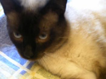 Muriel Bild von Muriel