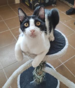 Tico Bild von Tico