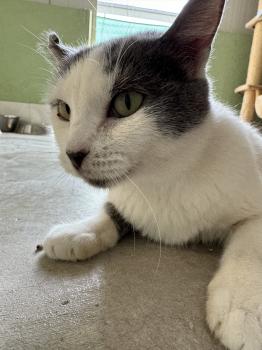 Minnie Bild von Minnie