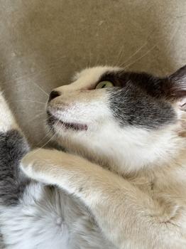 Minnie Bild von Minnie