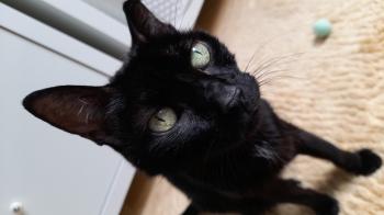 Bella Bild von Bella