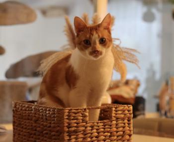 Ricky Bild von Ricky