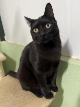 Nahla Bild von Nahla
