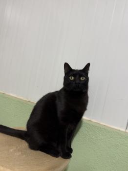 Nahla Bild von Nahla