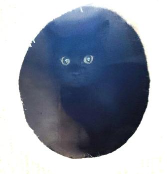 Bild von Sarabi