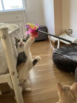 Talita Bild von Talita