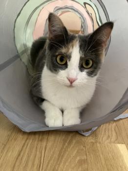 Talita Bild von Talita