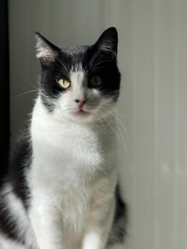 Conny Bild von Conny