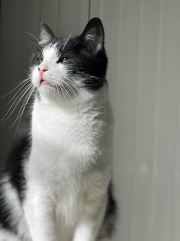 Conny Bild von Conny