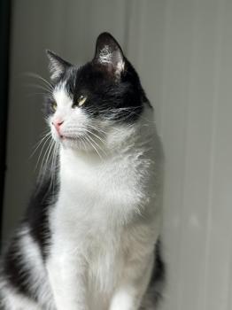 Conny Bild von Conny