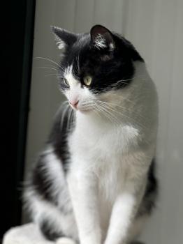 Conny Bild von Conny